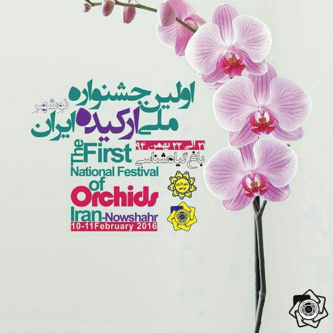 نخستین جشنواره ملی گل «ارکیده» به میزبانی نوشهردر ۲۱ الی ۲۳ بهمن ماه برگزار میشود